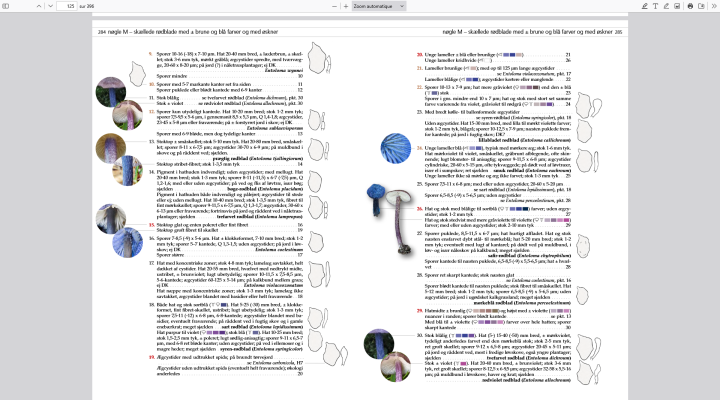 Screenshot 2025-03-29 at 19-24-52 FTE-T3-1.pdf.png