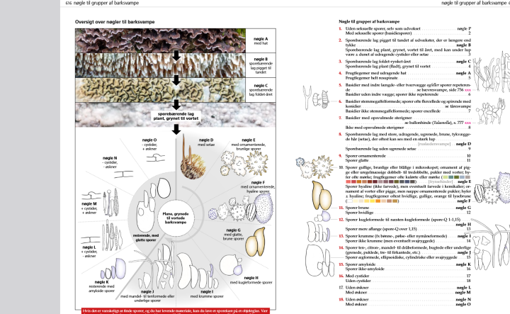 Screenshot 2025-03-29 at 19-22-21 FTE-T3-1.pdf.png