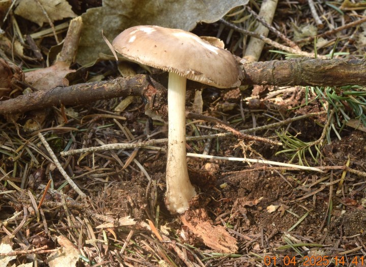 DSC_0202.JPG