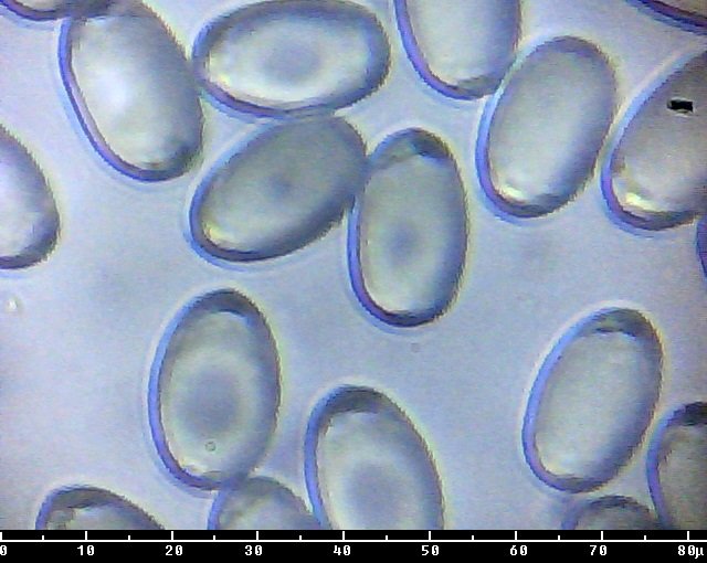20111308245023590517124470.jpg