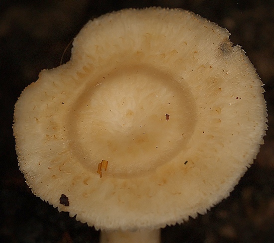 2009_07180024.JPG