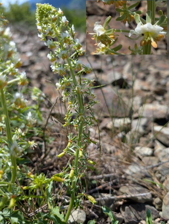 PXL_20250512_101723885.jpg