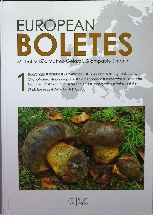 EUROPEAN BOLETES 1.jpg