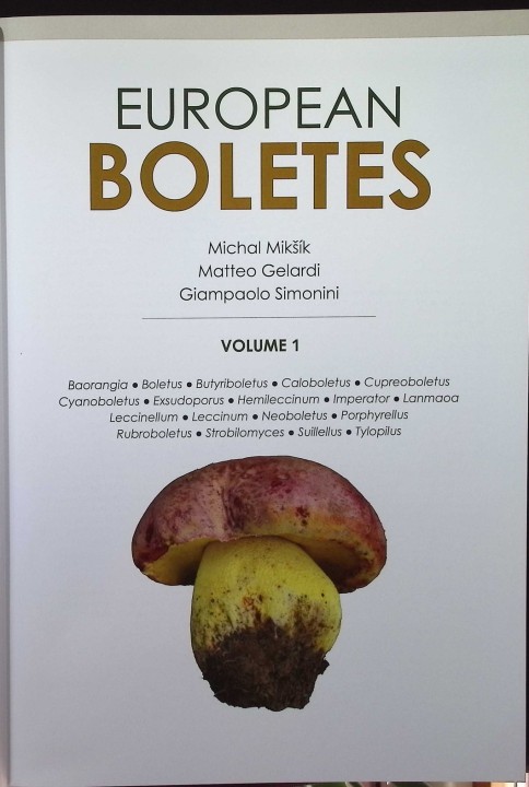EUROPEAN BOLETES 3.jpg