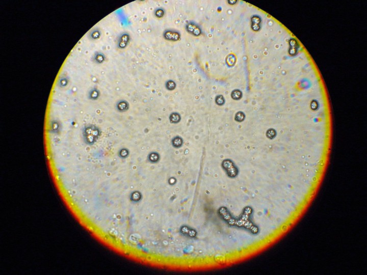 DSCN3166.JPG
