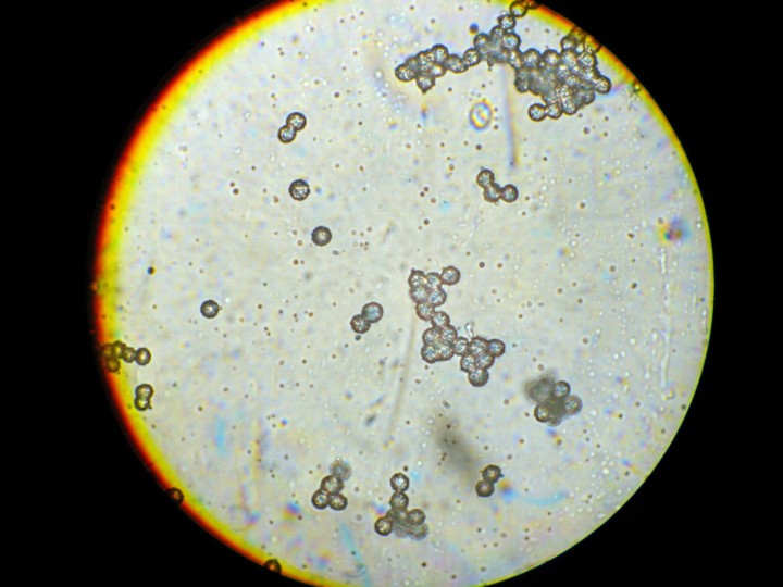 DSCN3167.JPG