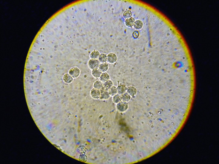 DSCN3169.JPG