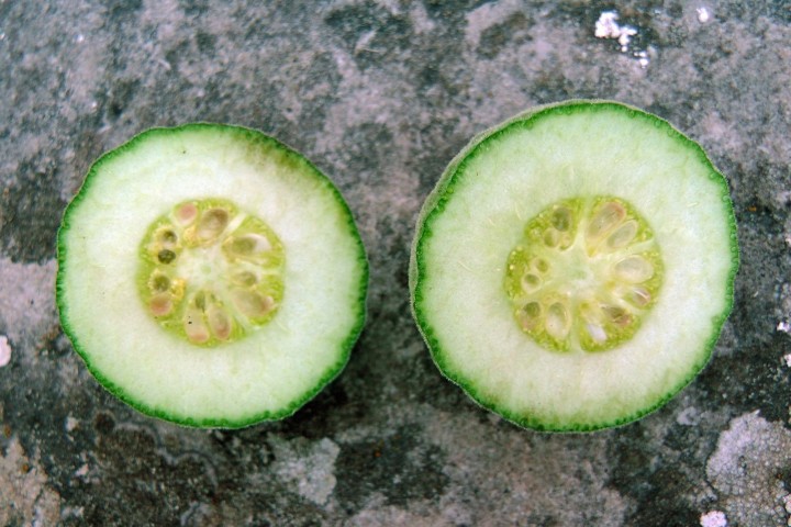 H5210010.JPG