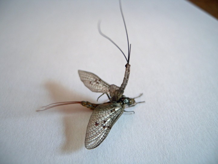 DSCN3061.JPG