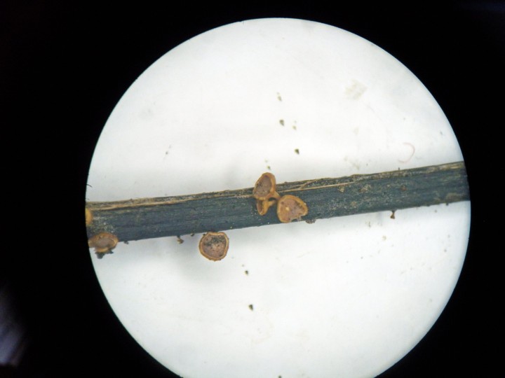 DSCN3205.JPG