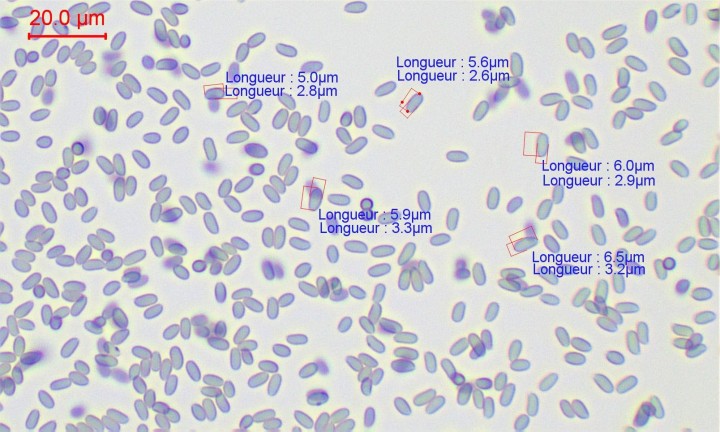 sp mlz-003.jpg