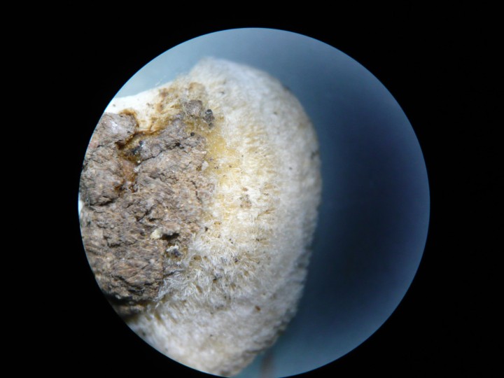 P1100346.JPG