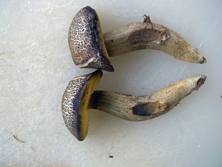 DSCN3251.JPG