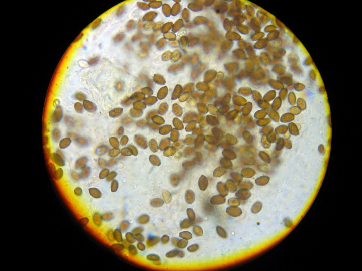 DSCN3274.JPG