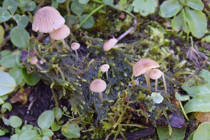 DSC_2739.jpg