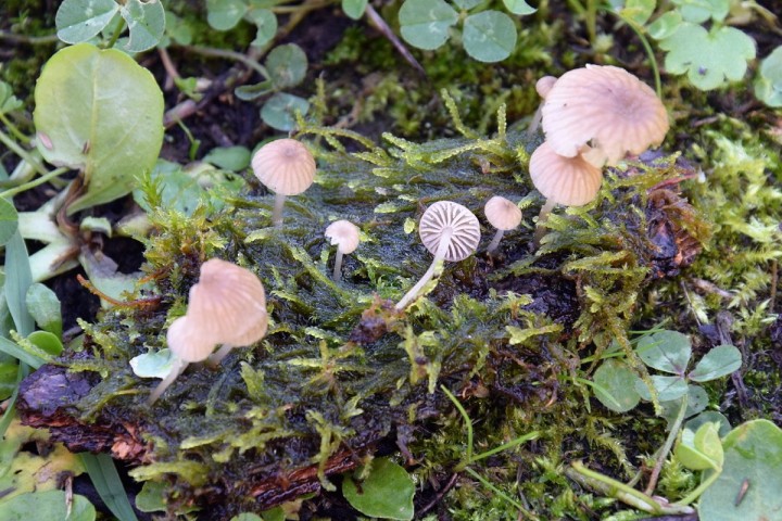 DSC_2740.jpg