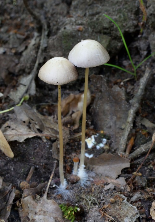 DSC_0024_0278_web.jpg