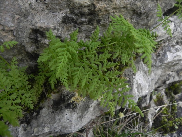 DSCN8448.JPG
