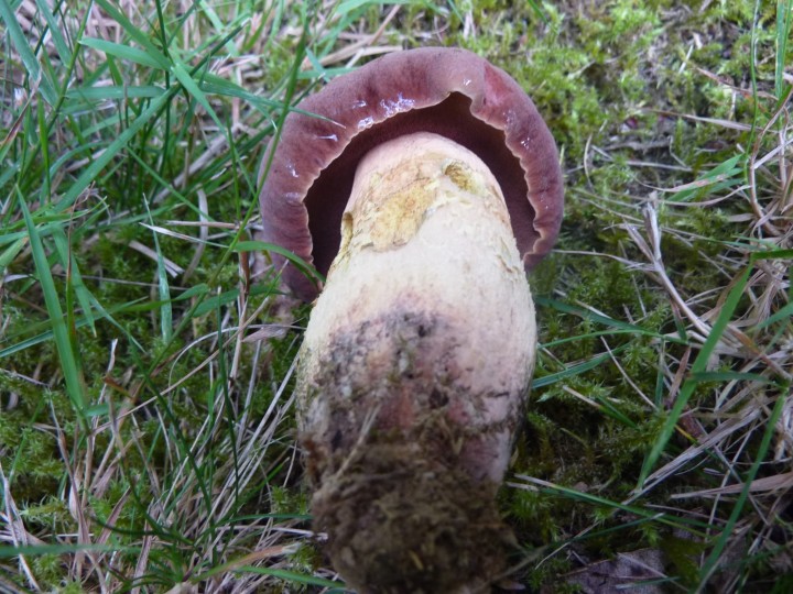 P1130755.JPG
