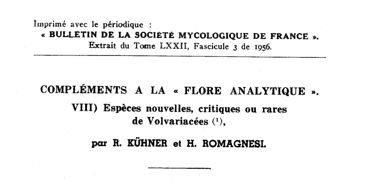 pluteus_villosus_3.png