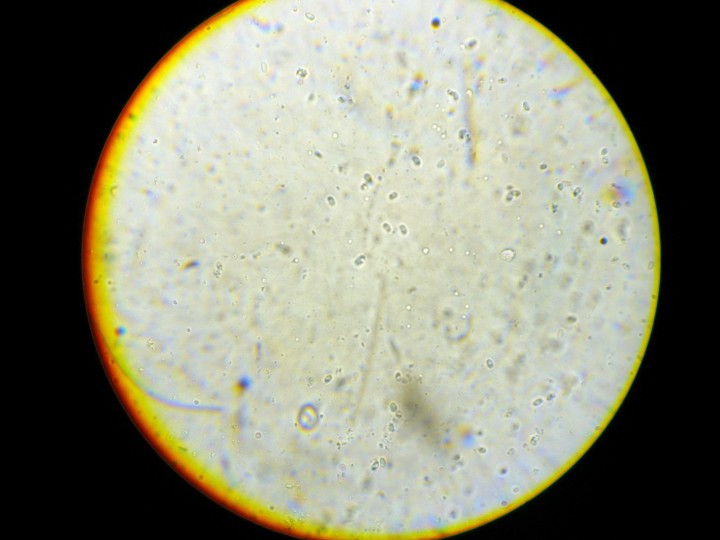 DSCN3429.JPG