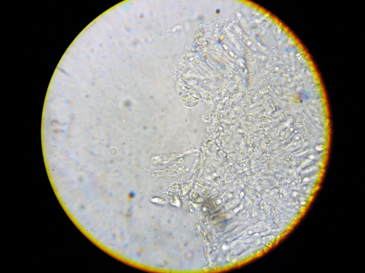 DSCN3471.JPG