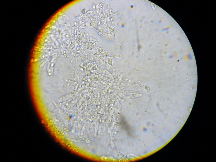 DSCN3470.JPG