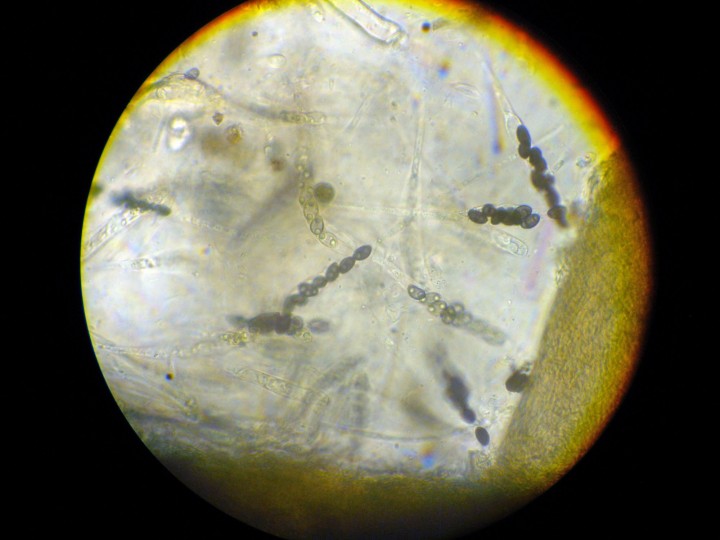 DSCN3488.JPG