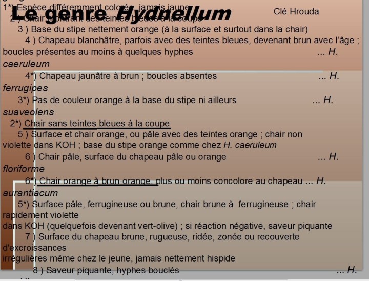 Capture2.JPG