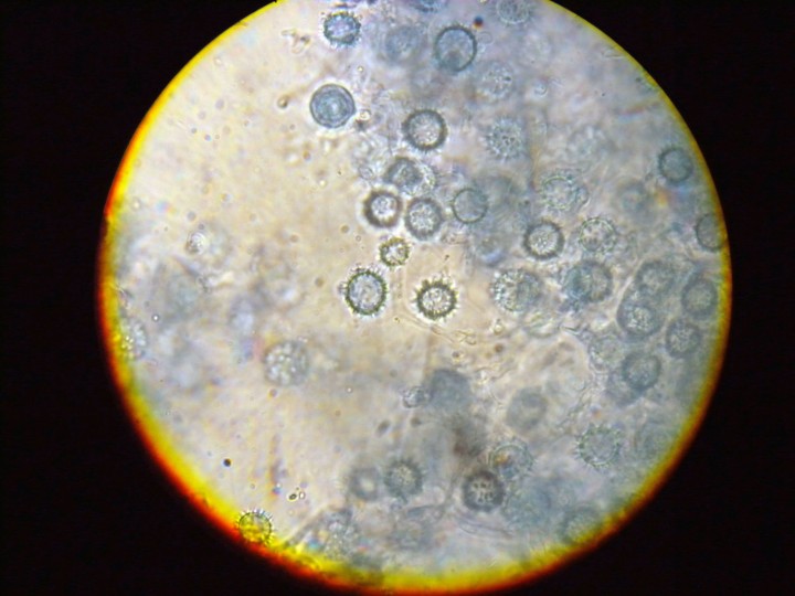 DSCN3531.JPG