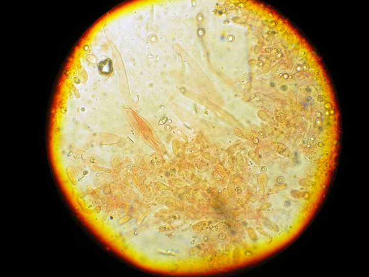 DSCN3548.JPG
