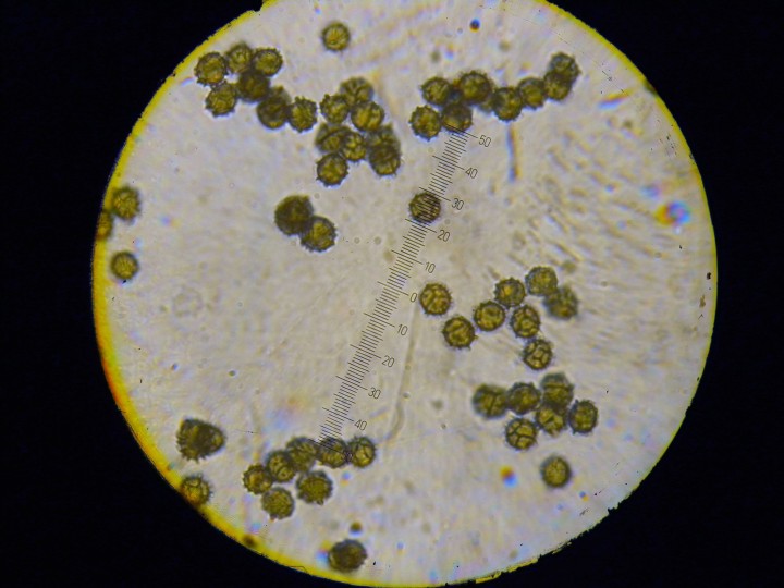DSCN3572.JPG