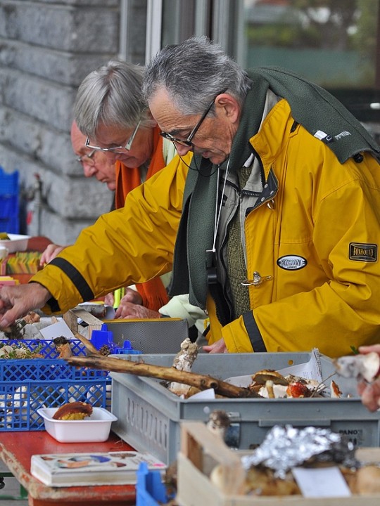 Chemarin_Divonne_8_octobre_2011.JPG