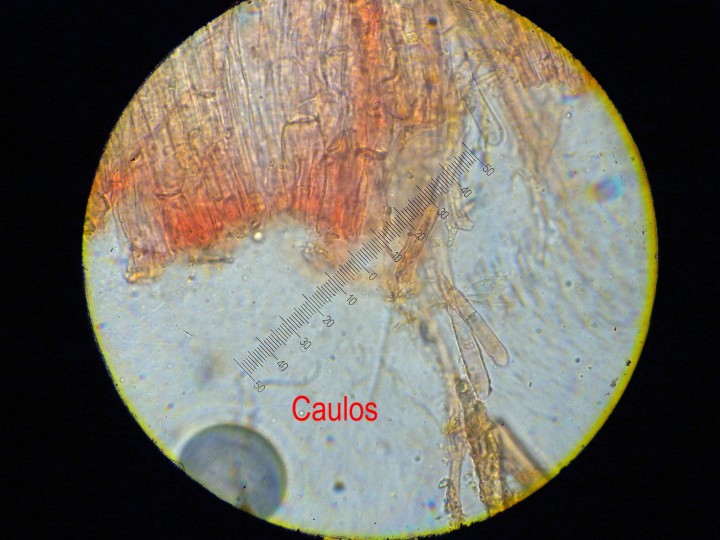 DSCN3600.JPG