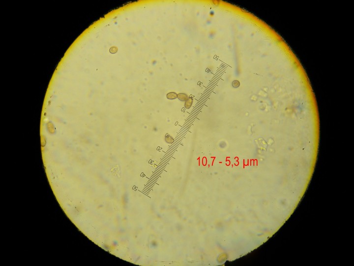 DSCN3402.JPG