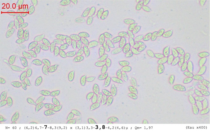 sp-005.jpg