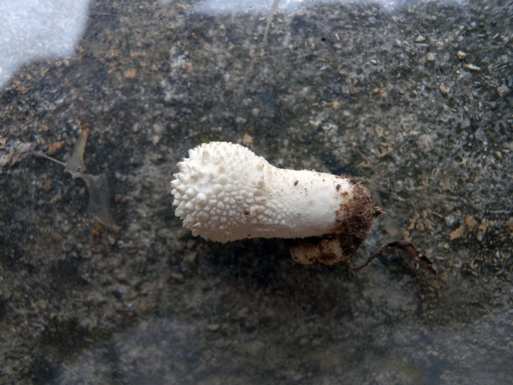 DSCN3799.JPG