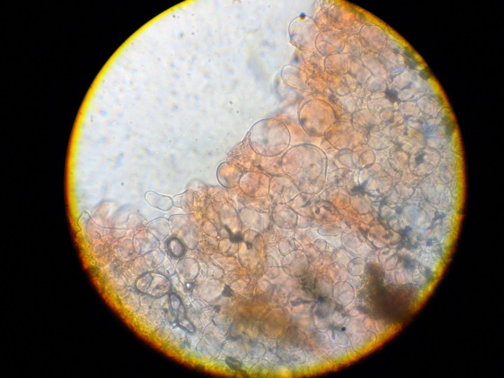 DSCN3797.JPG