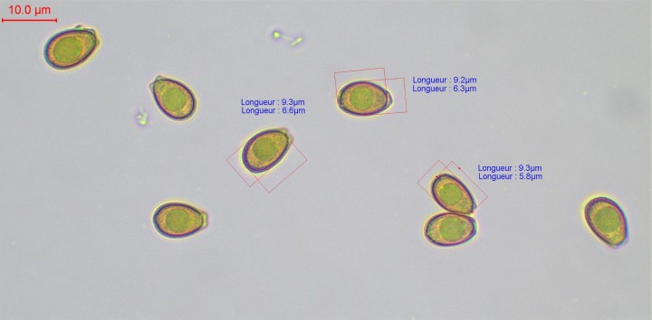 sp-004.jpg