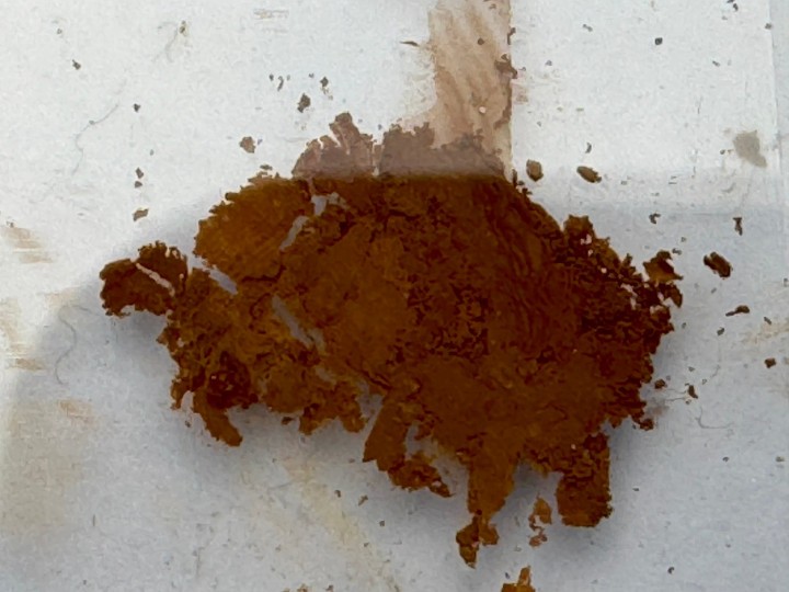 sporee chocolat adelphus.jpg