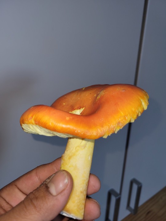 20250917_191444.jpg