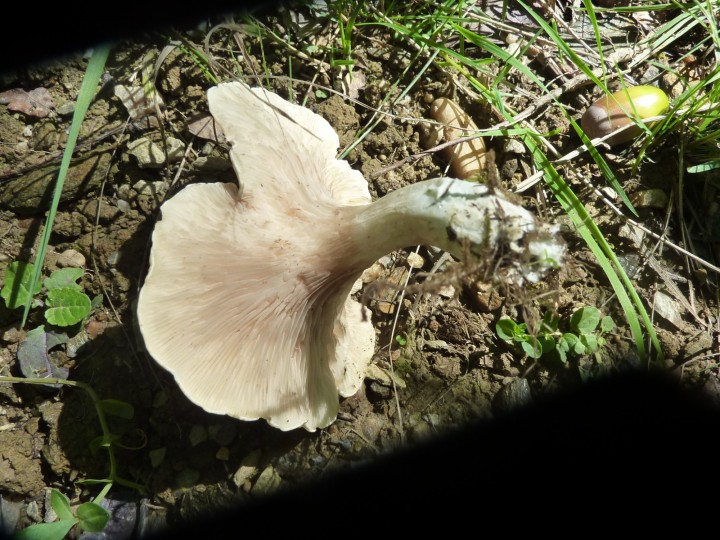 P1130860.JPG