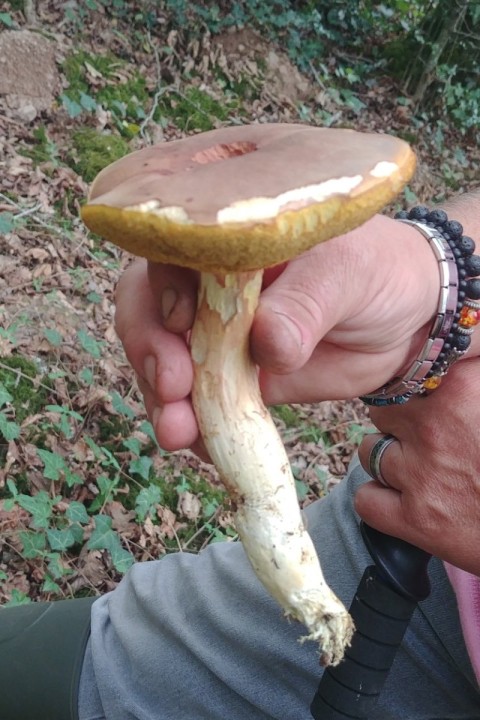 20250920_131607_HDR.jpg