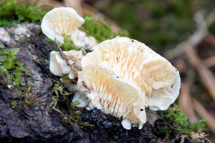 DSC_3508.jpg