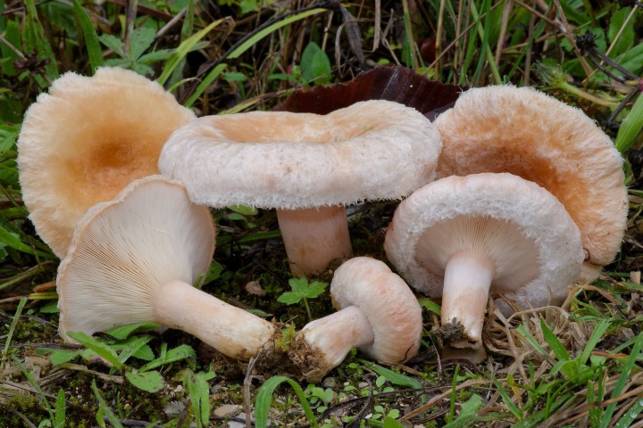 DSCF4965_DxOMedium.jpg
