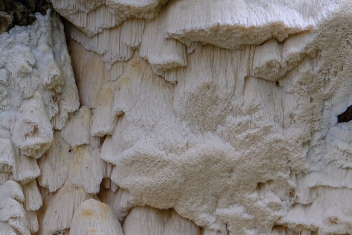2025-09-15 90856.jpg