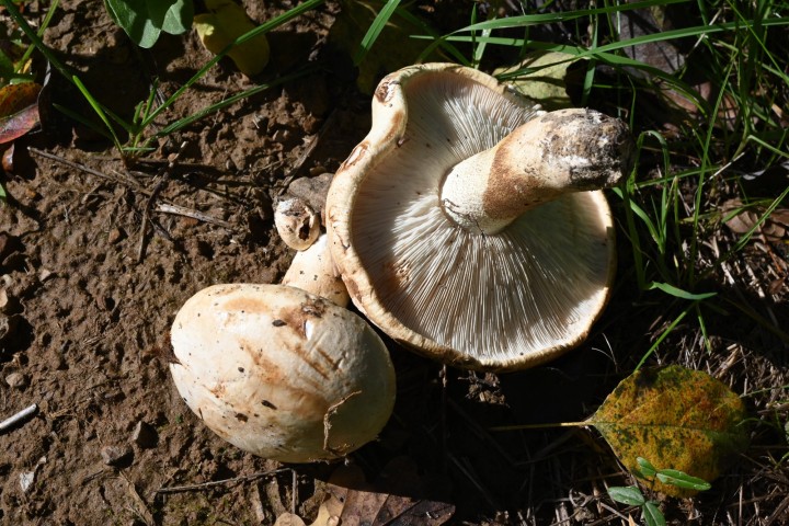 DSC_9800.JPG