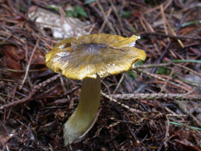 Dscn1891.JPG