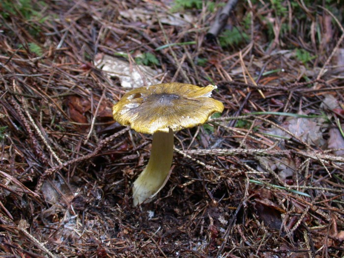 Dscn1891 (1).JPG