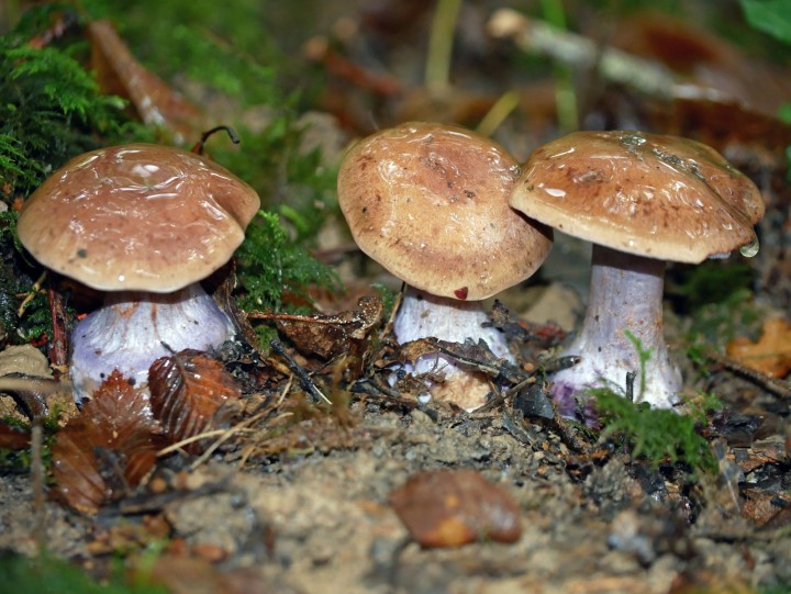 P1180010.JPG
